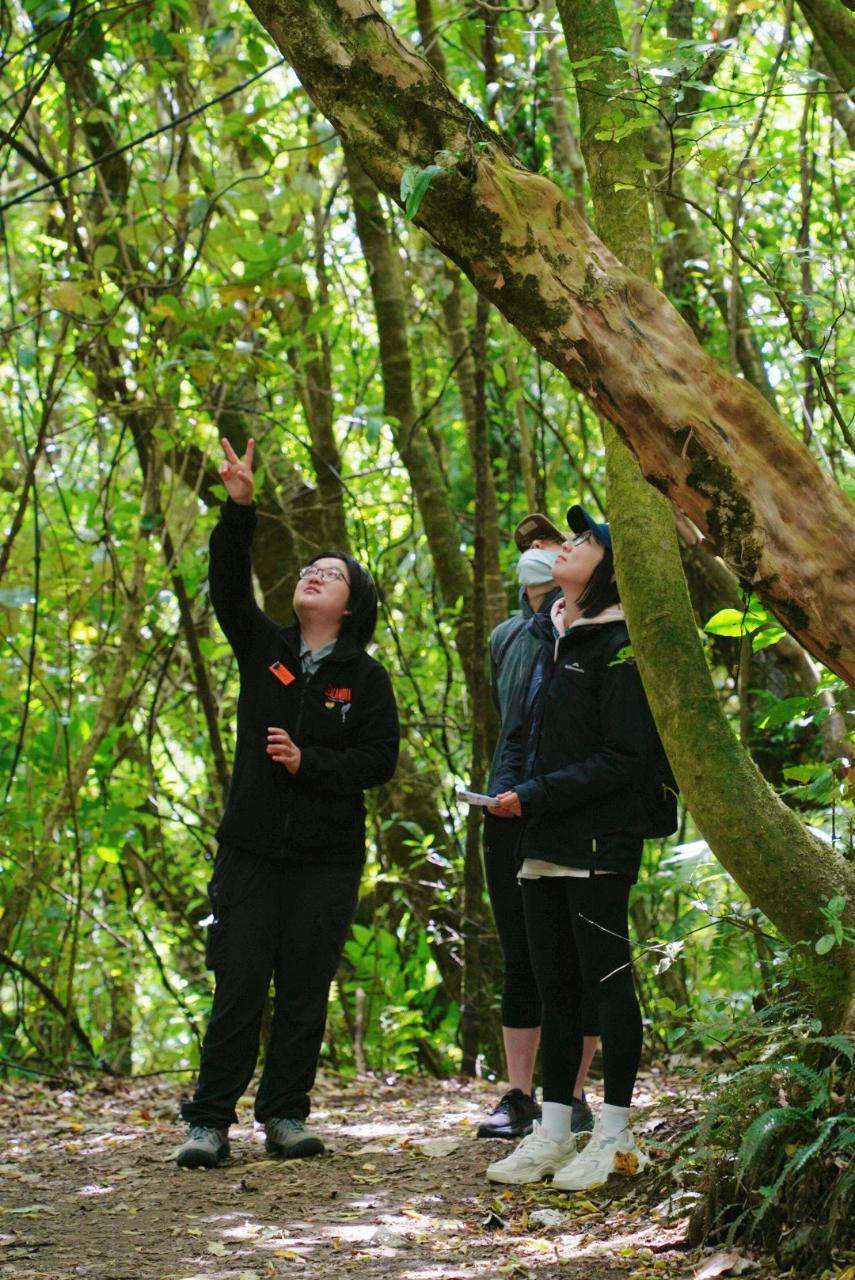Zealandia by Day - Mandarin-speaking tour - Trade - Photo 1 of 14